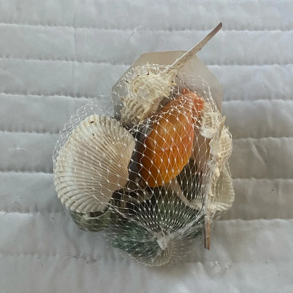 AQUARIUM DECOR NATURAL SHELL 3.85 oz Fish
